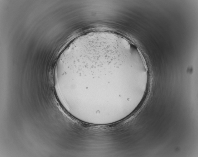 X0000113981185200911131048