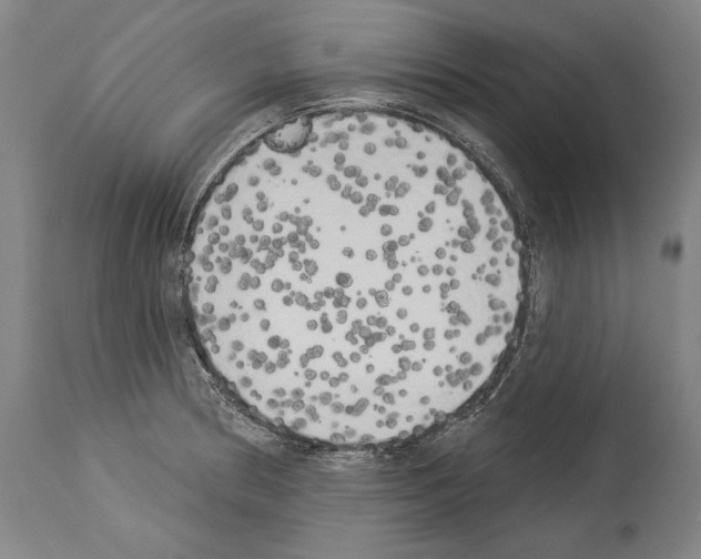 X0000113981186200911131048