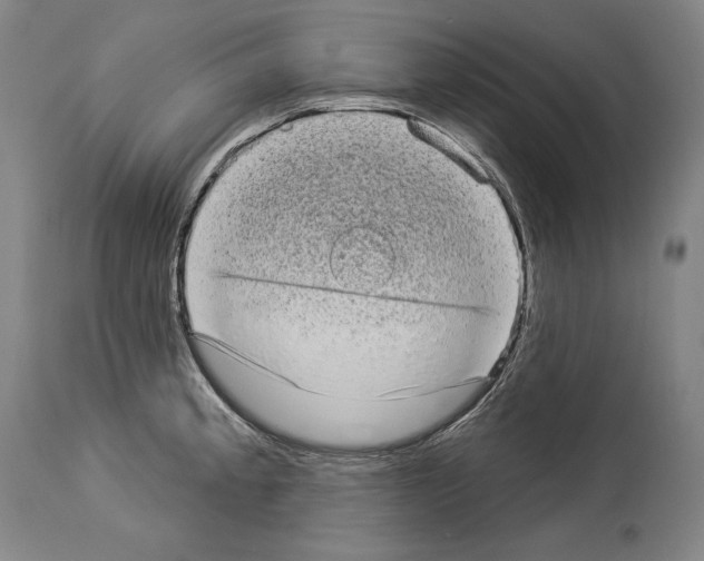 X0000113981189200911131048