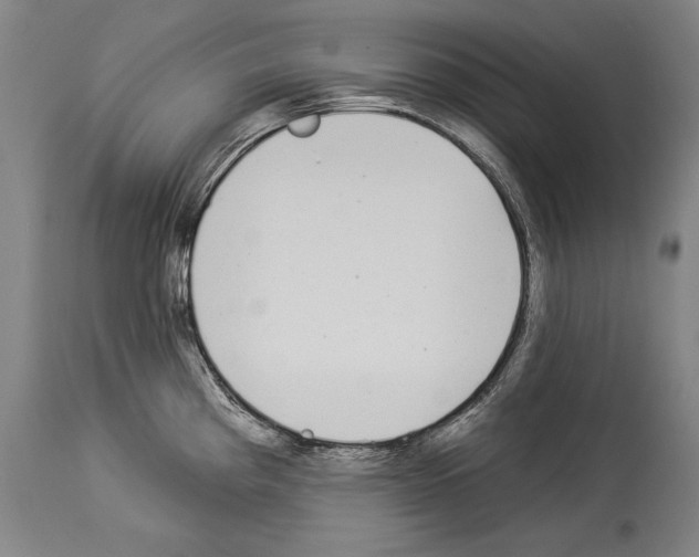 X0000113981193200911131048