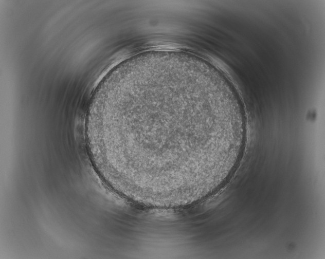 X0000113981194200911131048