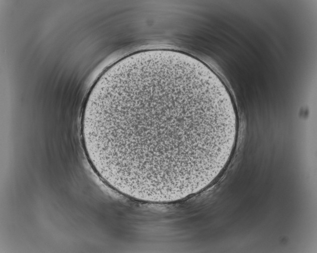 X0000113981197200911131048
