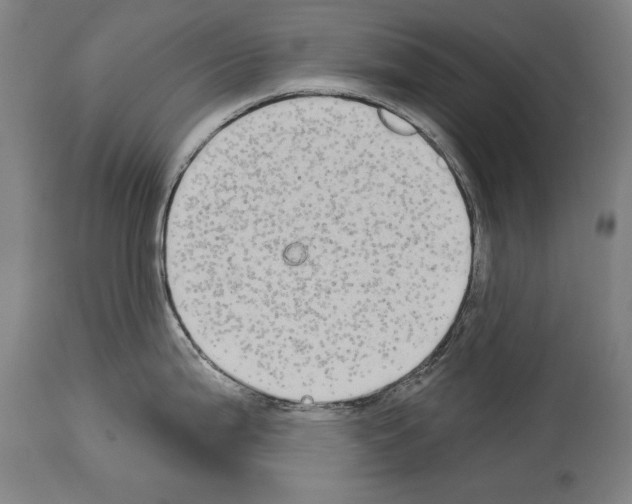X0000113981199200911131048