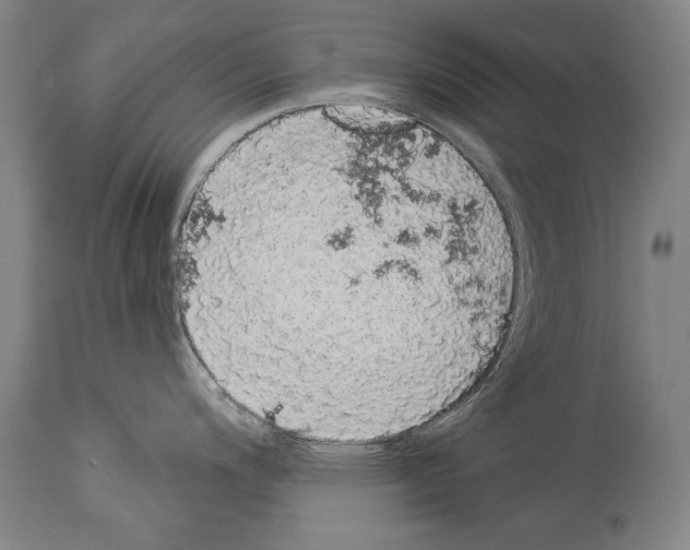 X0000113981200200911131048