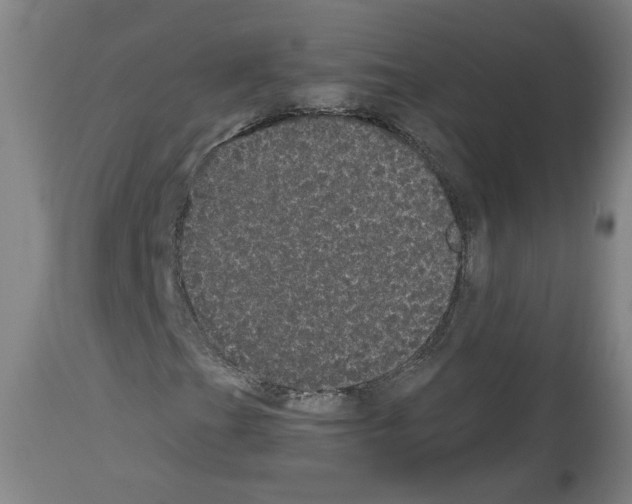 X0000113981201200911131047
