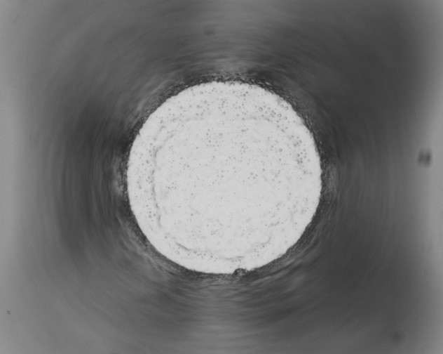 X0000113981202200911131047