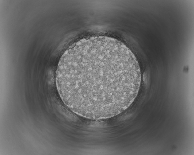 X0000113981203200911131047
