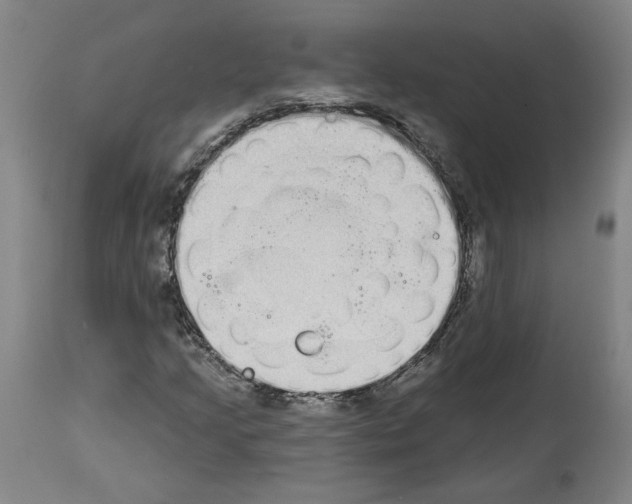 X0000113981205200911131047