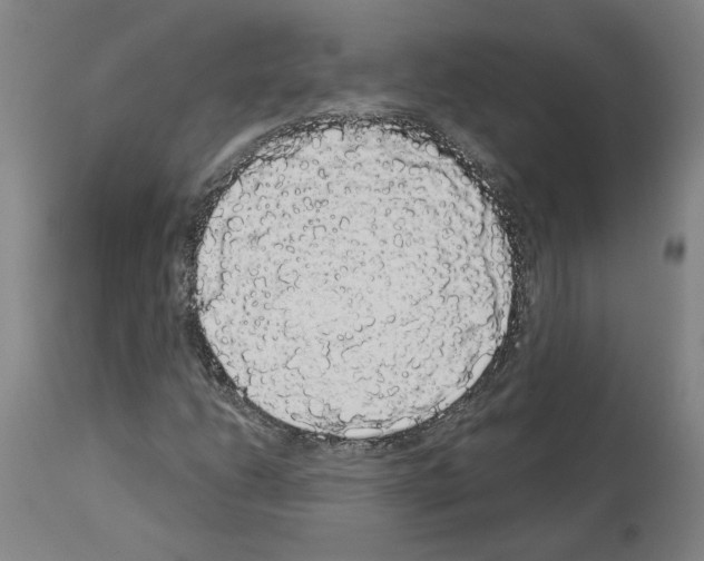 X0000113981206200911131047