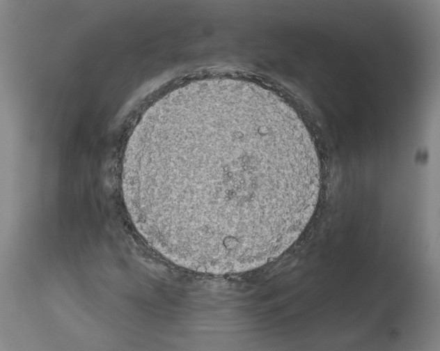 X0000113981207200911131047