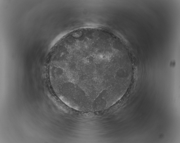X0000113981208200911131047