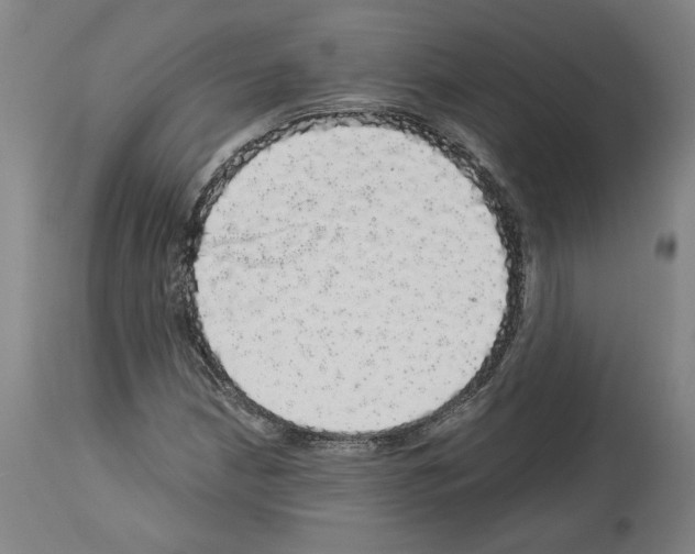 X0000113981210200911131047