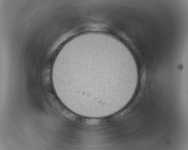 X0000113981211200911131047