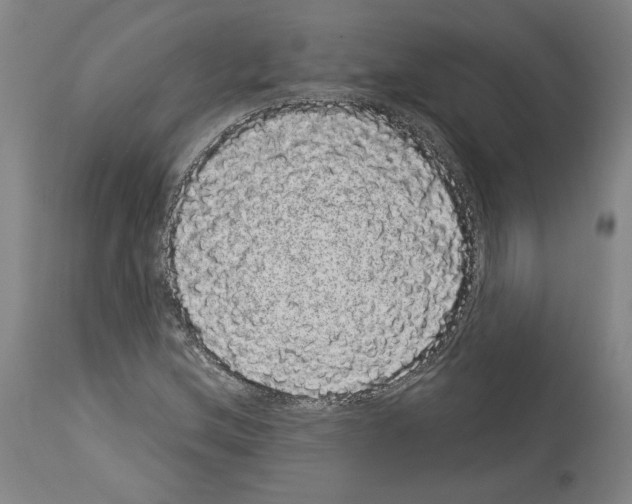 X0000113981212200911131047