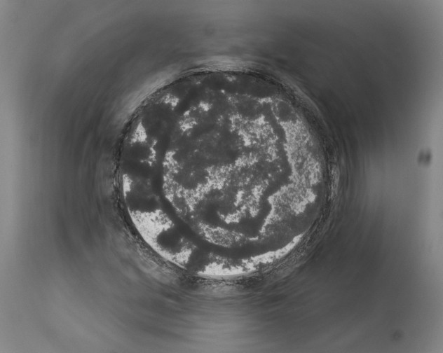 X0000113981213200911131047
