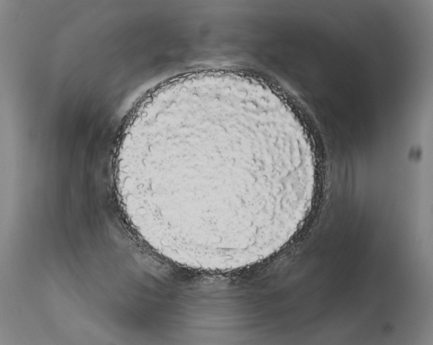 X0000113981214200911131047