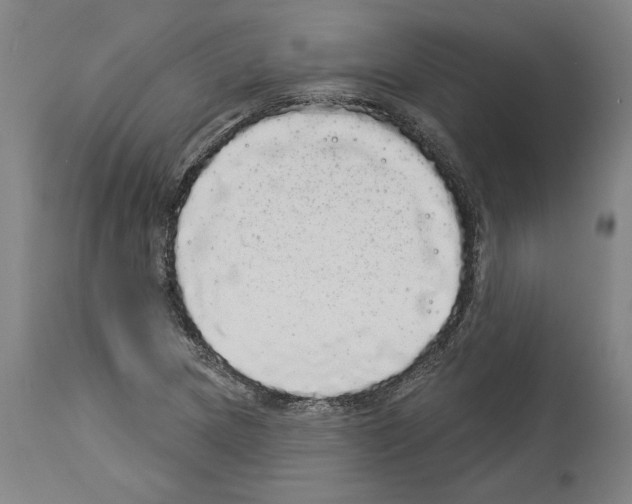 X0000113981217200911131047