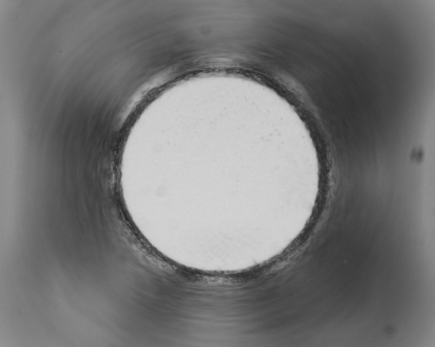 X0000113981218200911131047