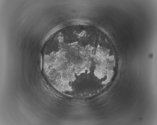 X0000113981219200911131047