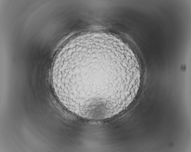 X0000113981220200911131047
