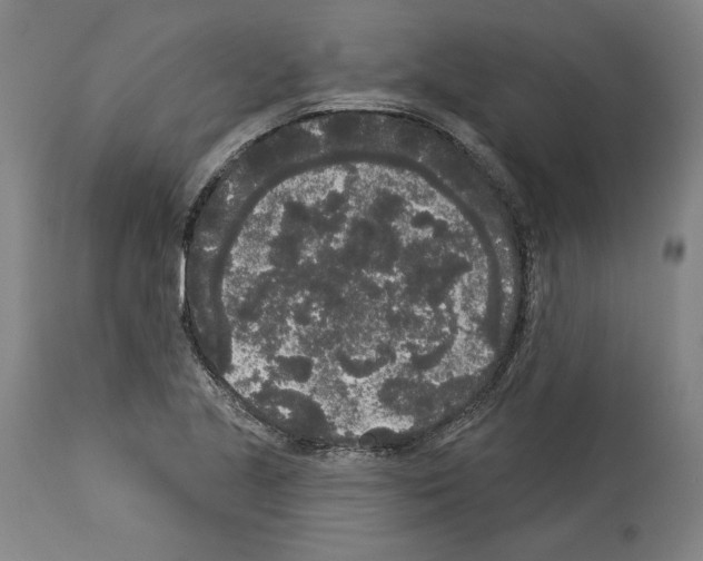 X0000113981221200911131047