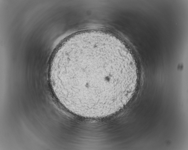 X0000113981222200911131047