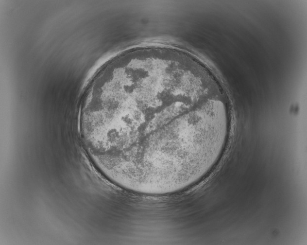 X0000113981224200911131047