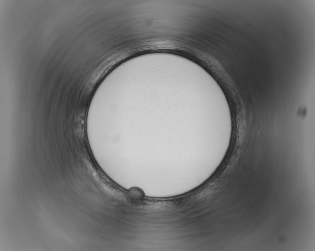 X0000113981225200911131047