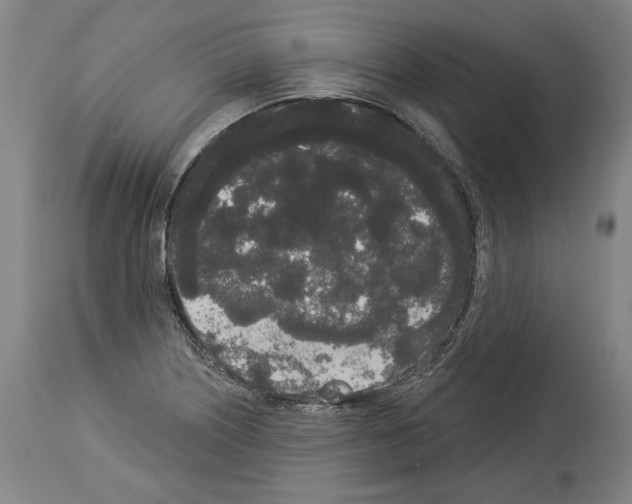 X0000113981226200911131048