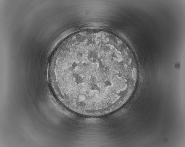 X0000113981227200911131048