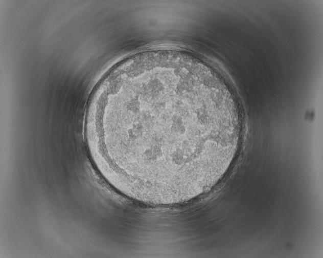 X0000113981228200911131048