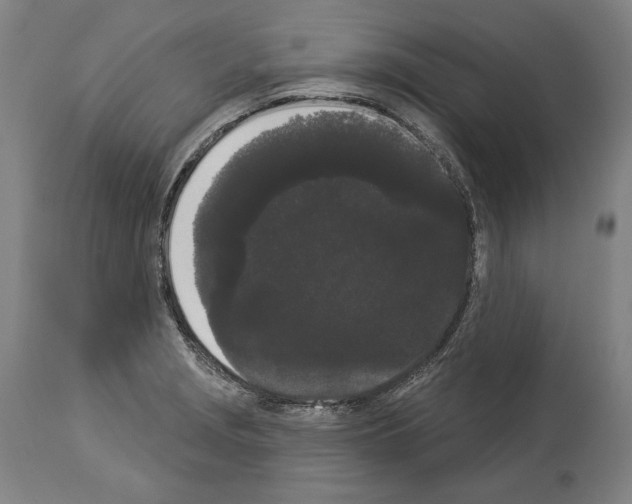 X0000113981229200911131048