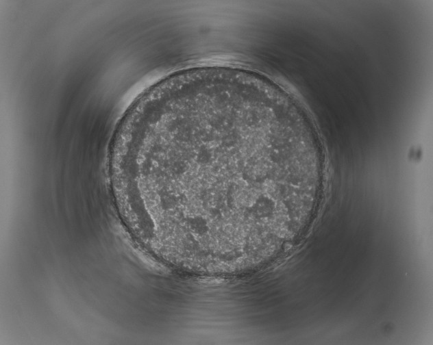 X0000113981230200911131048