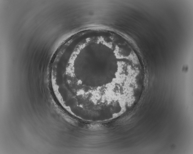 X0000113981231200911131048