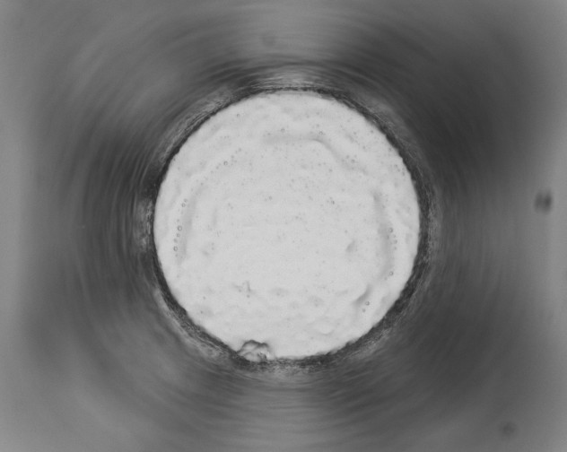 X0000113981233200911131048