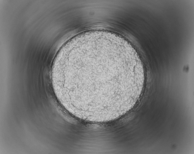 X0000113981234200911131048