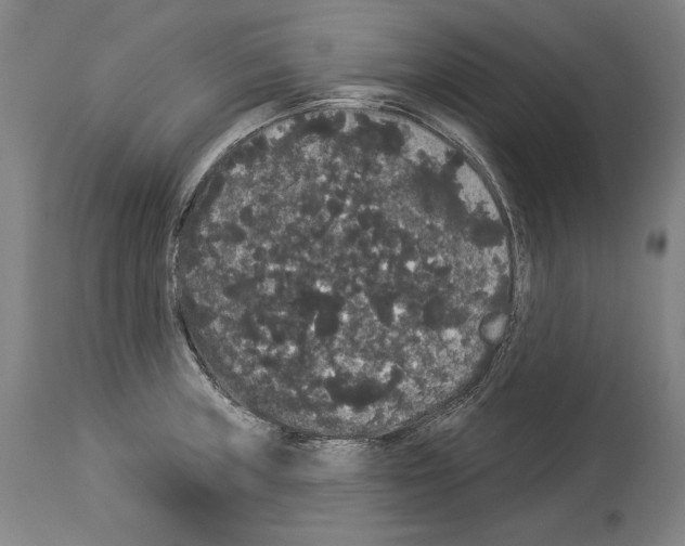 X0000113981235200911131048