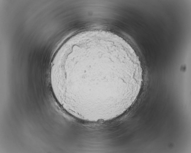 X0000113981236200911131048