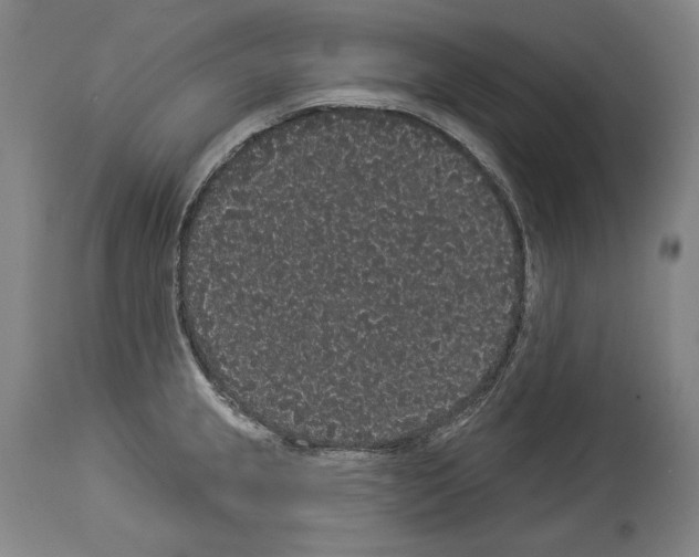 X0000113981237200911131048