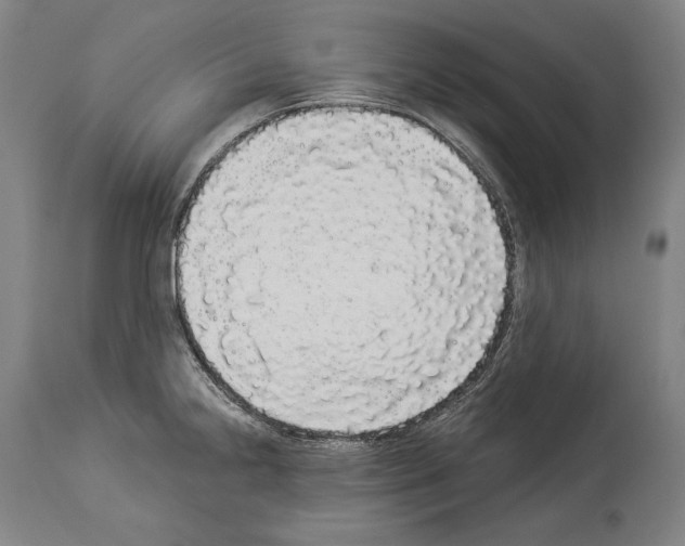 X0000113981238200911131048