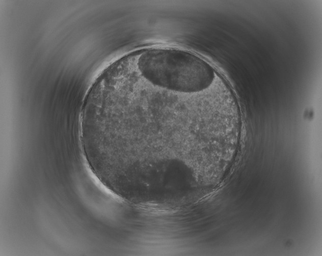 X0000113981239200911131048