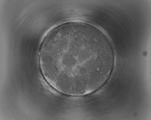 X0000113981240200911131048