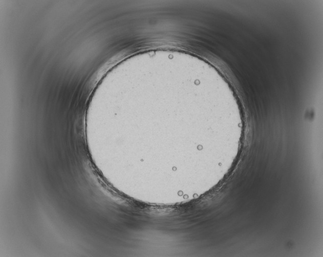 X0000113981242200911131048