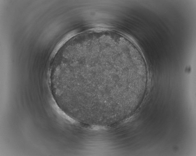 X0000113981243200911131048