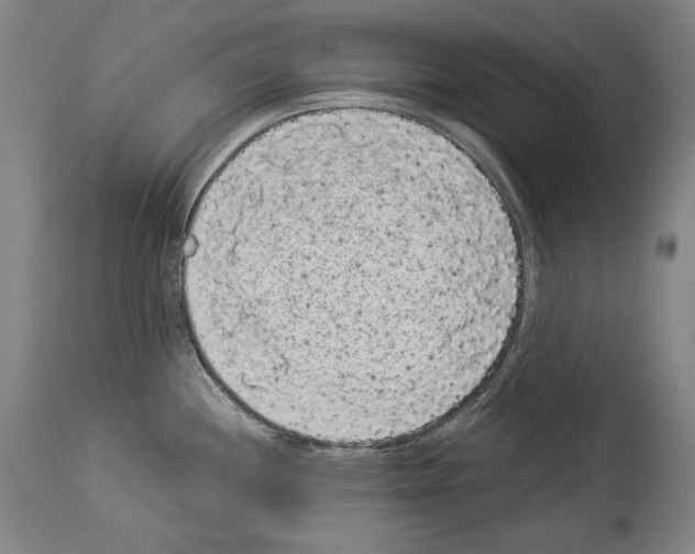 X0000113981244200911131048