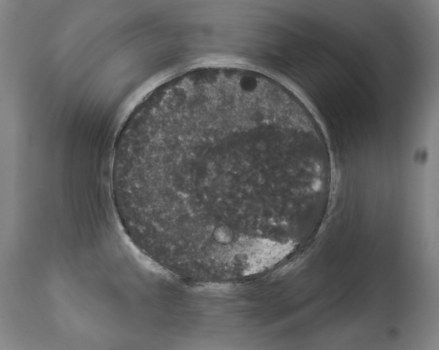 X0000113981245200911131048