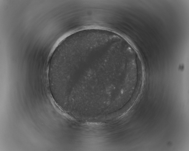 X0000113981246200911131048