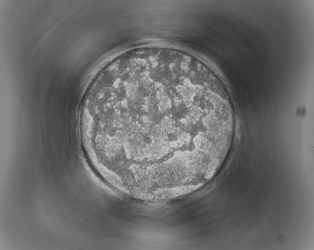X0000113981247200911131048