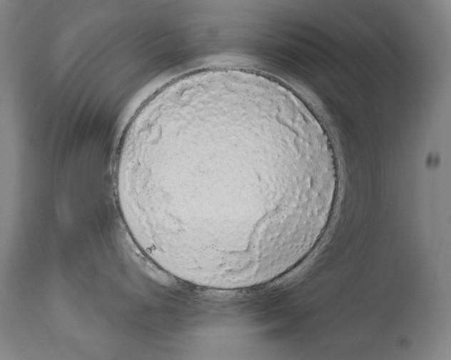 X0000113981248200911131048