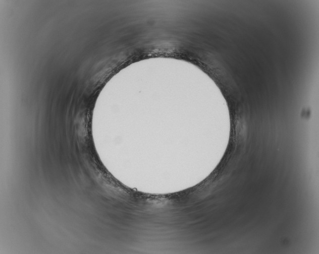 X0000113981250200911131047